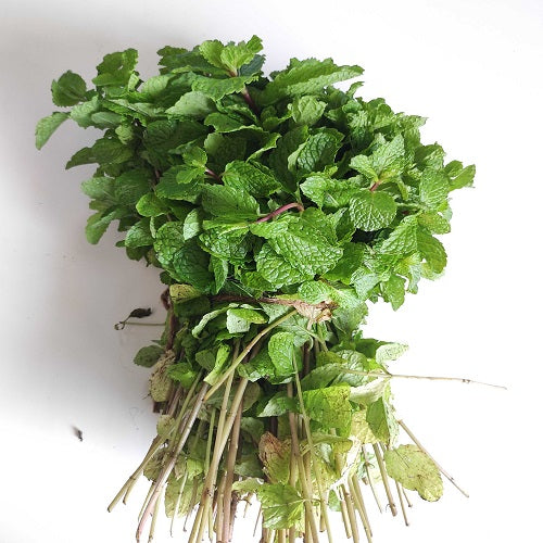 Fresh Mint Leaves ( Pudina 100g)