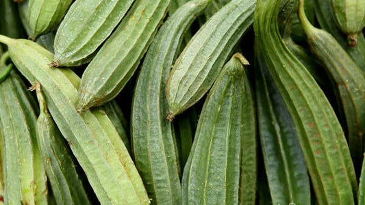 Fresh Ridges Gourd ( Desi Torai 500g)