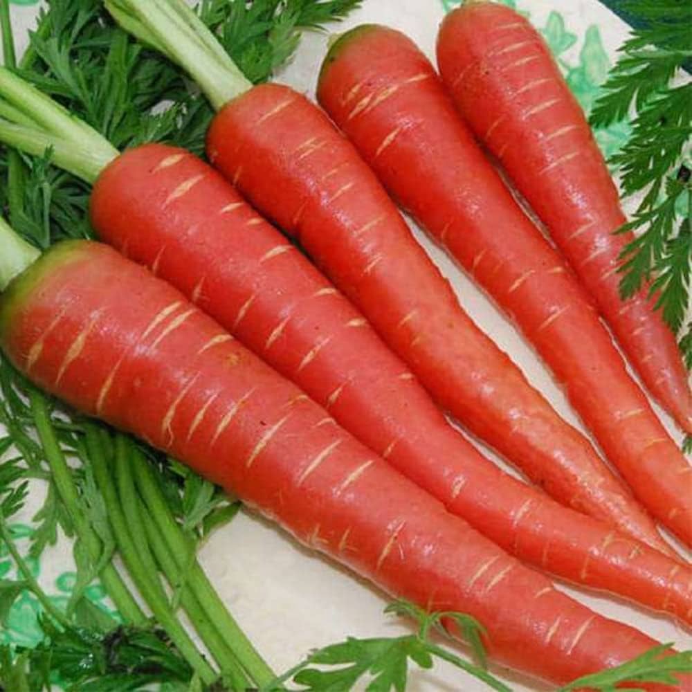 Fresh Carrot (500g)