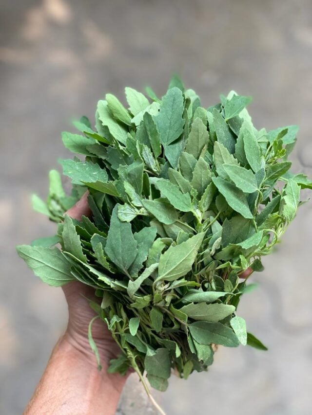 Fresh Bathua (250g-300g)