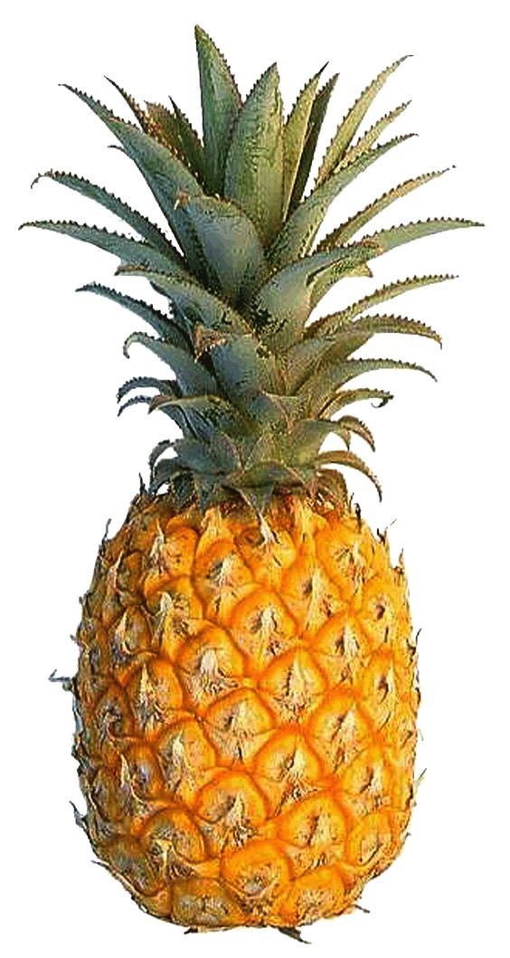 Fresh Pineapple (1pc)